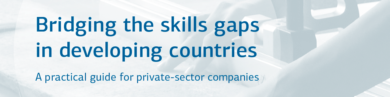 Bridging the Skills Gaps