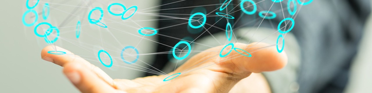 Our network