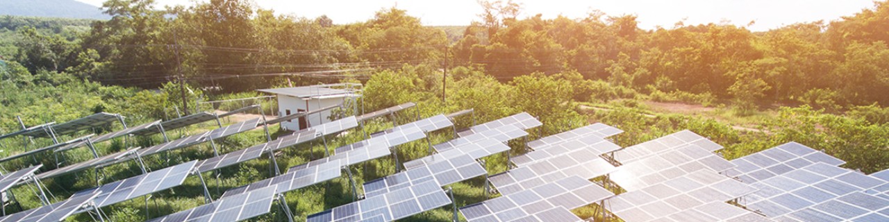 ESG Lernplattform hilft Umwelt-Risiken zu managen