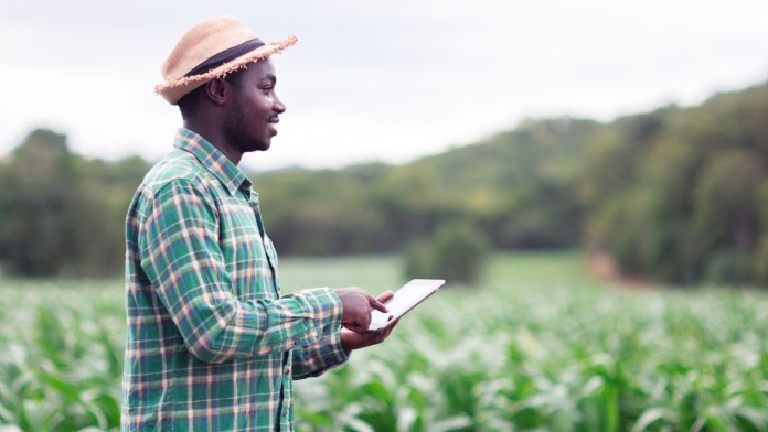 African Farmer stand in the green farm with holding tablet pc