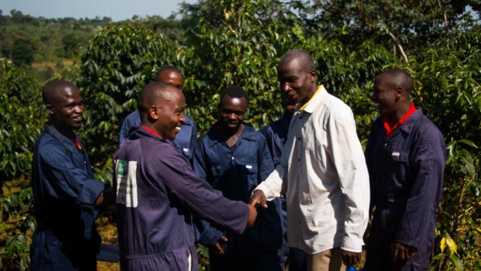 Kyagalanyi Coffee, Uganda, Afrika, Kaffee, Landwirtschaft