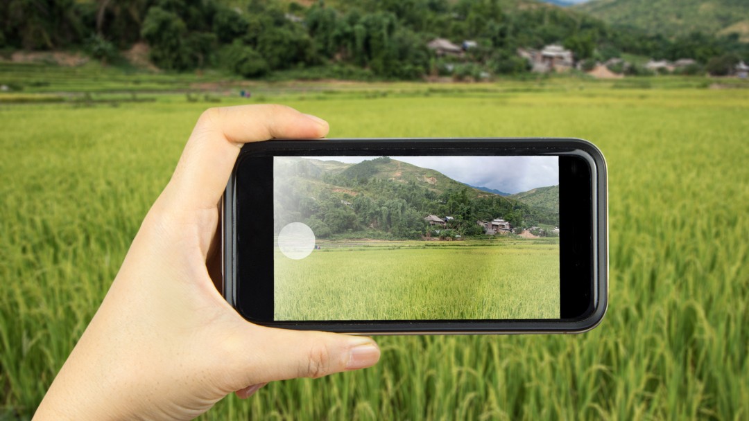 Vietnam: App für nachhaltige Lieferketten