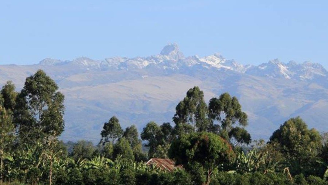 Produktionsanlage von Limbua Nahe Mount Kenya