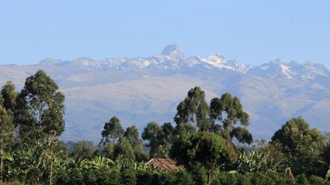 Limbua production site in Kenya