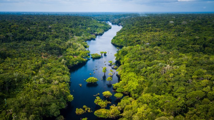 An arial view of the Amazon in Paraguay