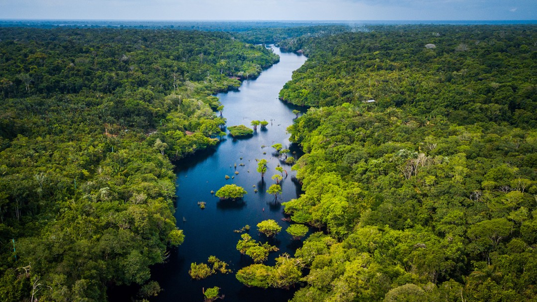 An arial view of the Amazon in Paraguay