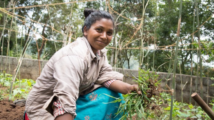 Mit develoPPP.de können Pilotvorhaben oder Umwelt- oder Qualifizierungsvorhaben finanziert werden, ein Beispiel ist das Bio-Gewürzprojekt von Ecoland in Indien. 