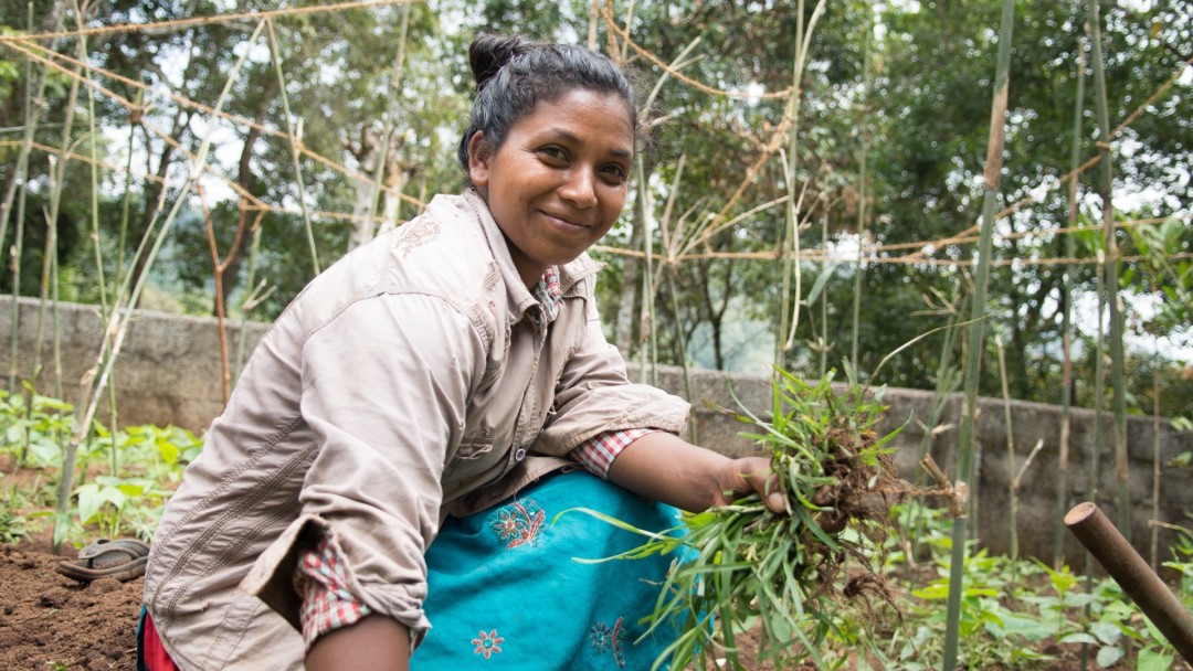 Mit develoPPP.de können Pilotvorhaben oder Umwelt- oder Qualifizierungsvorhaben finanziert werden, ein Beispiel ist das Bio-Gewürzprojekt von Ecoland in Indien. 