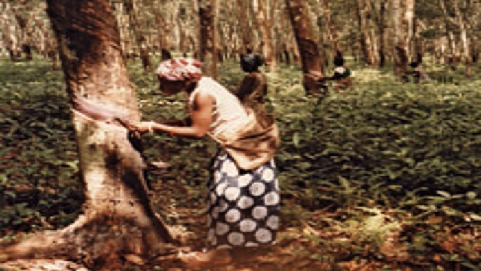 An African woman working in agriculture